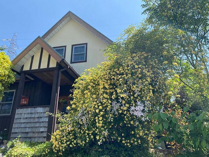 小澤音楽教室に​ついて​